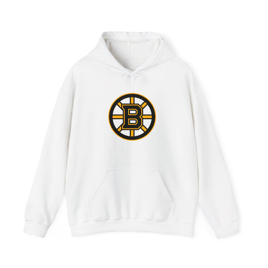 Boston Bruins Pullover Hoodie