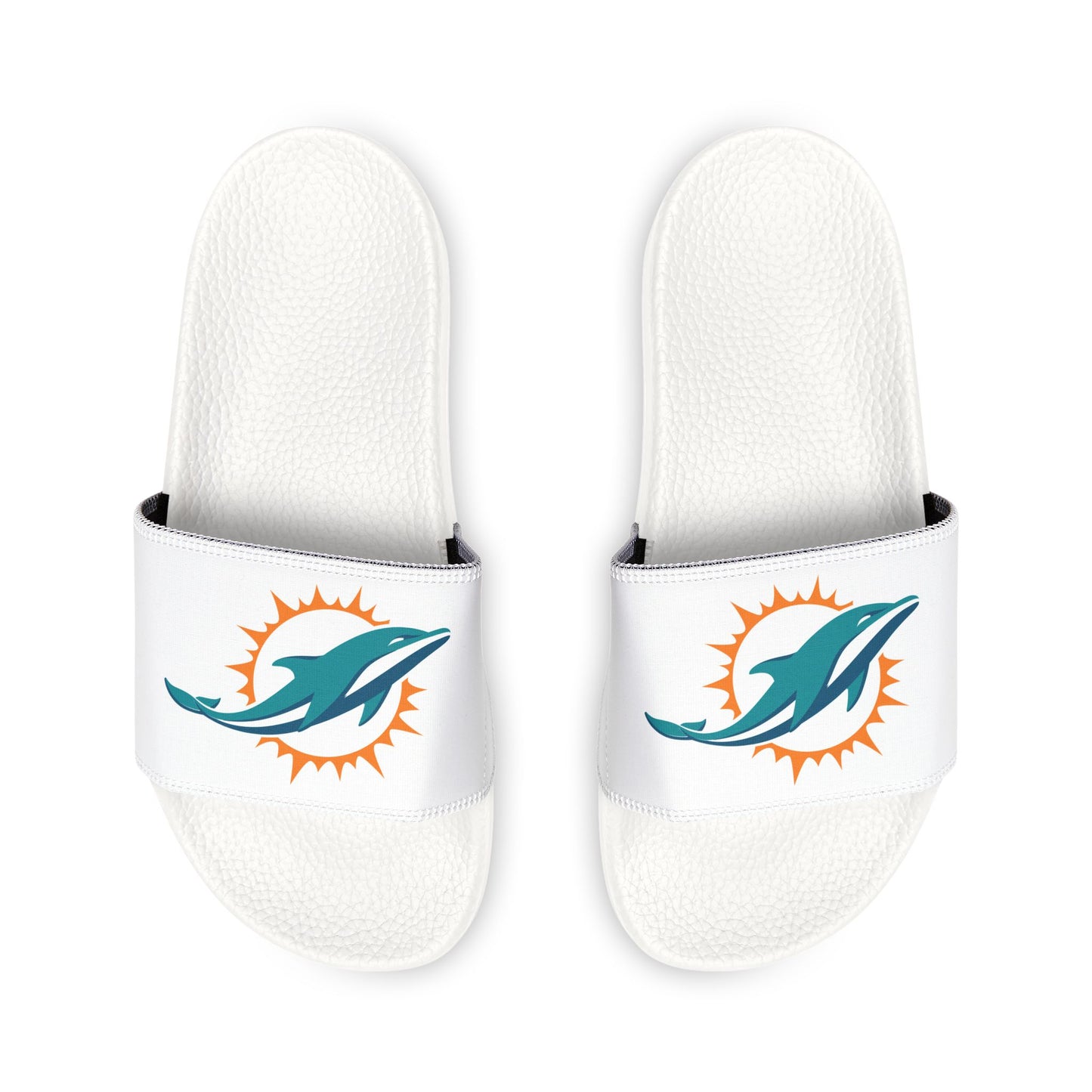 Miami Dolphins Slides