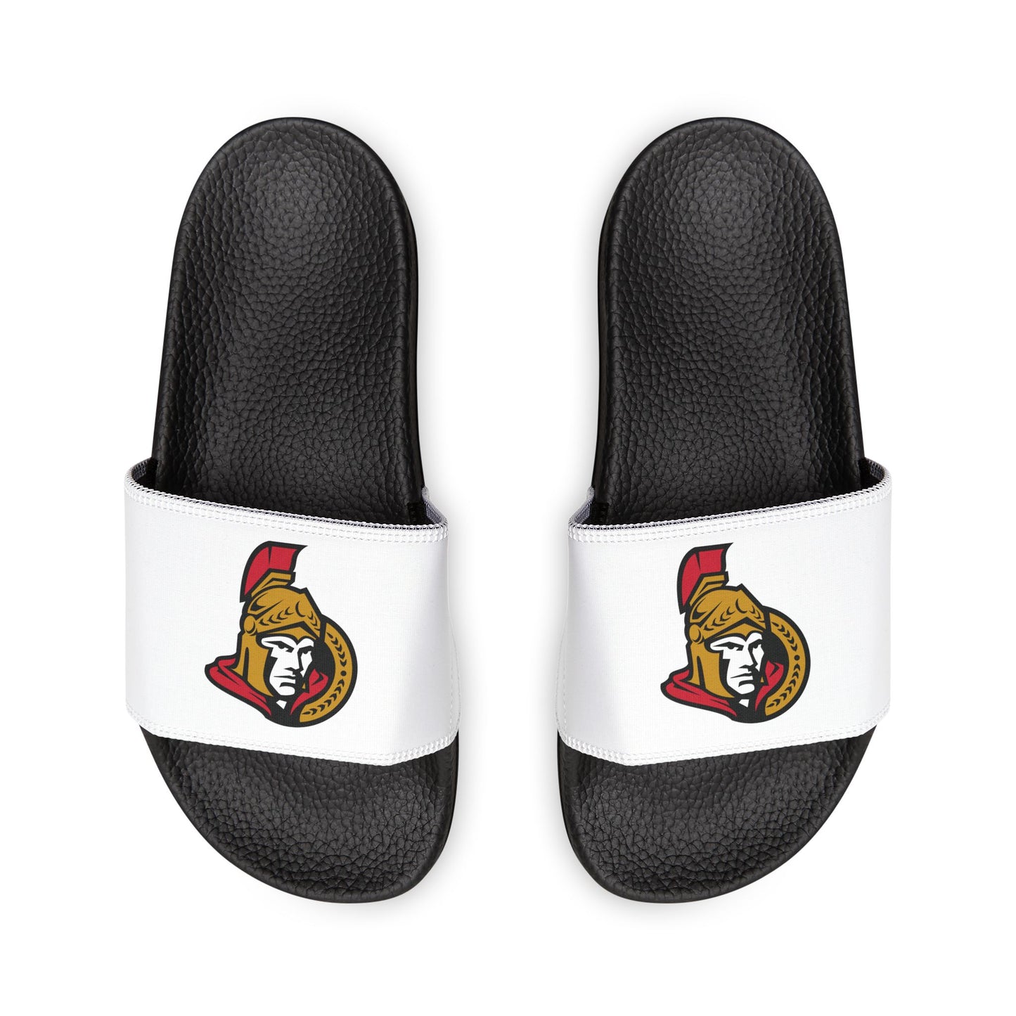 Ottawa Senators Slides