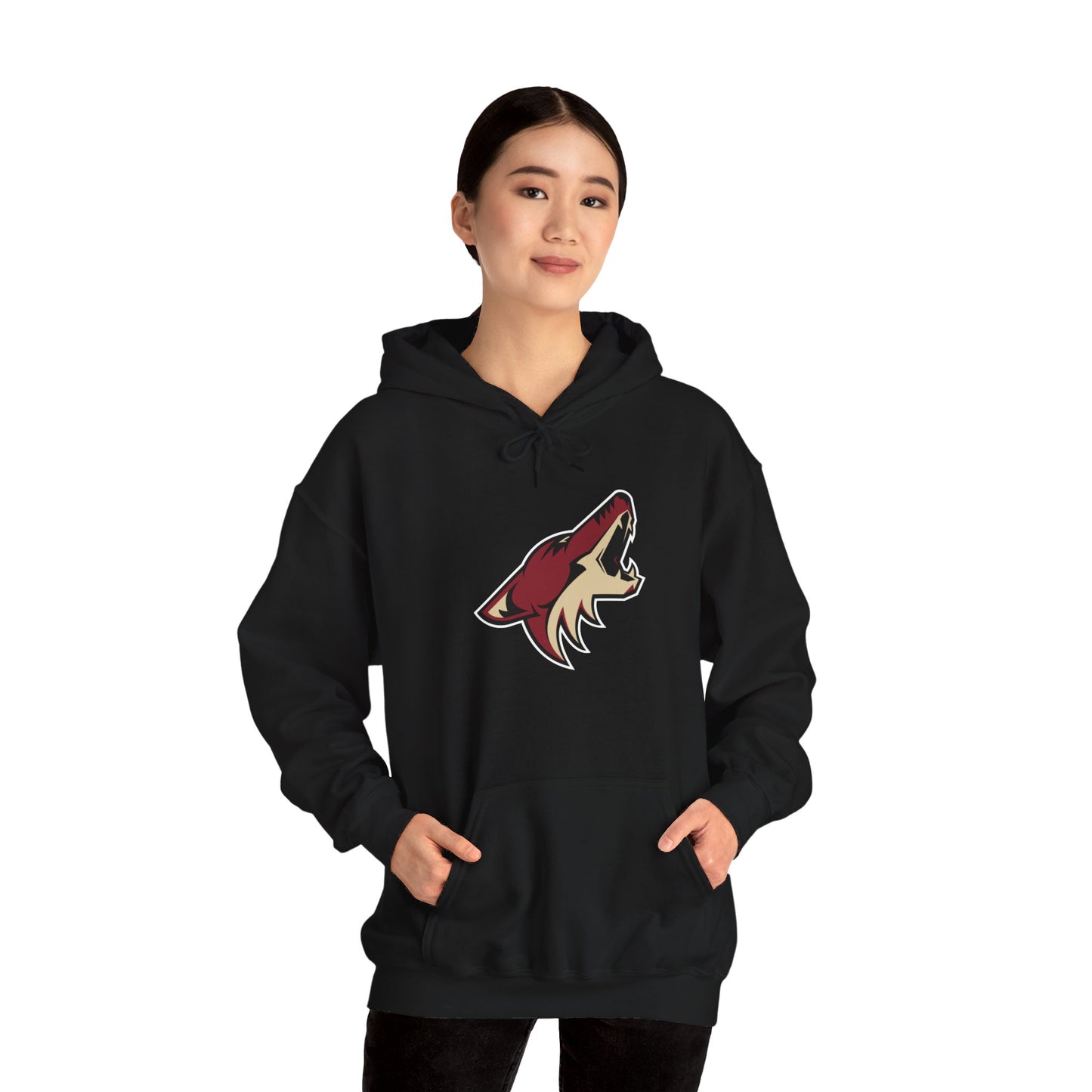 Arizona Coyotes Pullover Hoodie