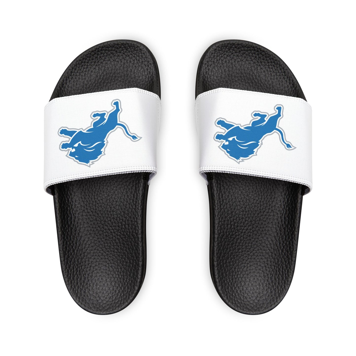 Detroit Lions Slides