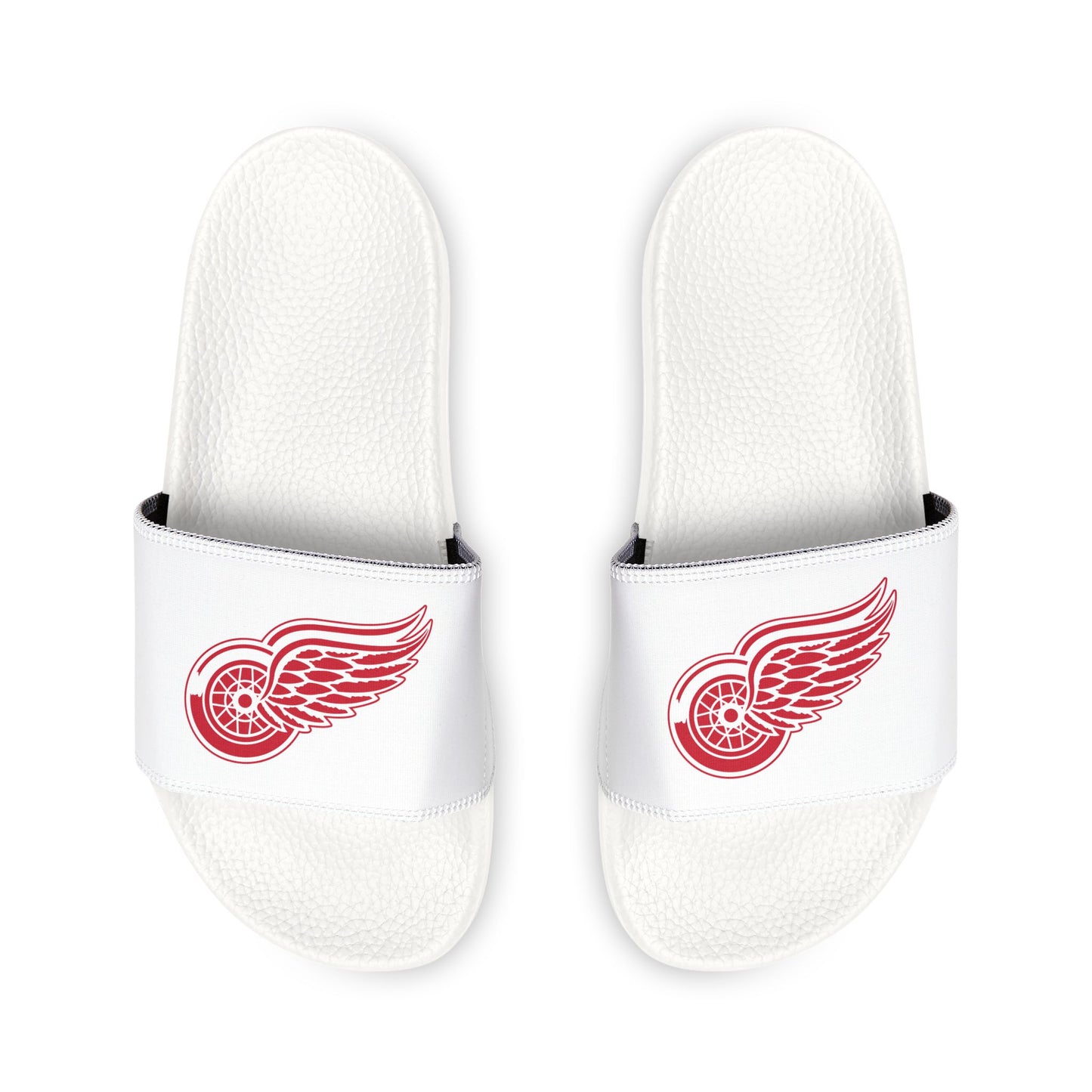 Detroit Red Wings Slides