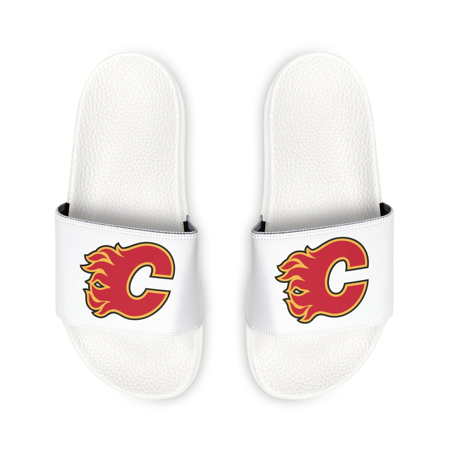 Calgary Flames Slides