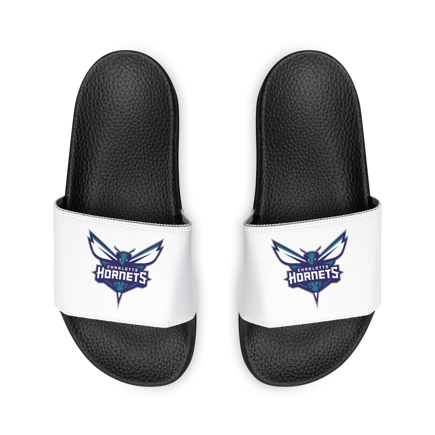 Charlotte Hornets Slides