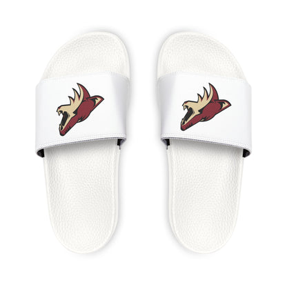 Arizona Coyotes Slides