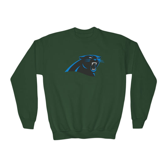 Carolina Panthers Youth Sweatshirt