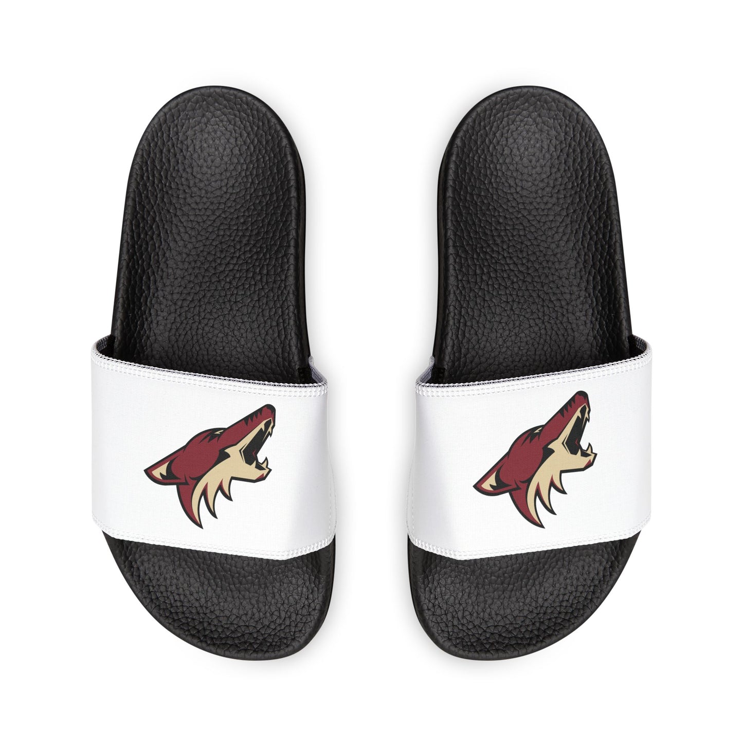 Arizona Coyotes Slides