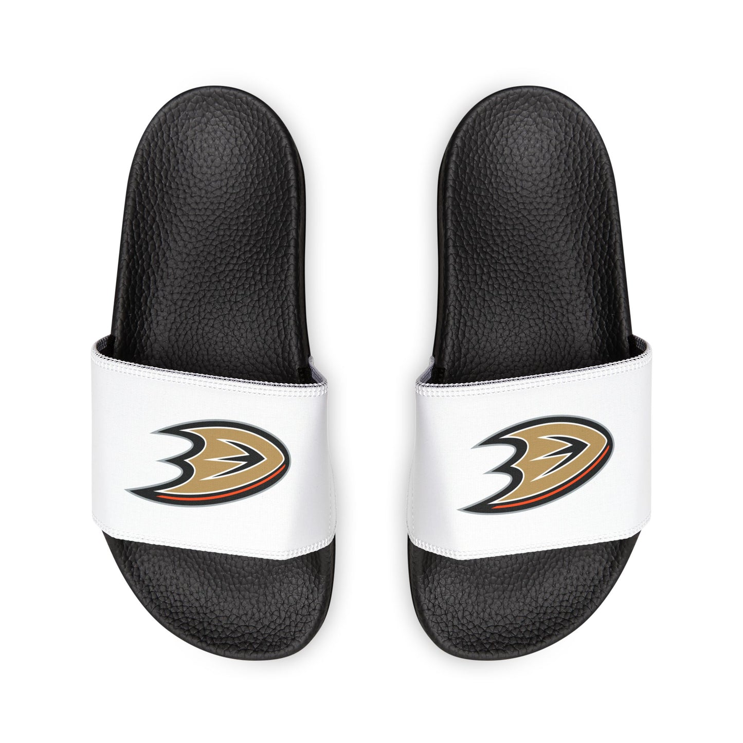 Anaheim Ducks Slides