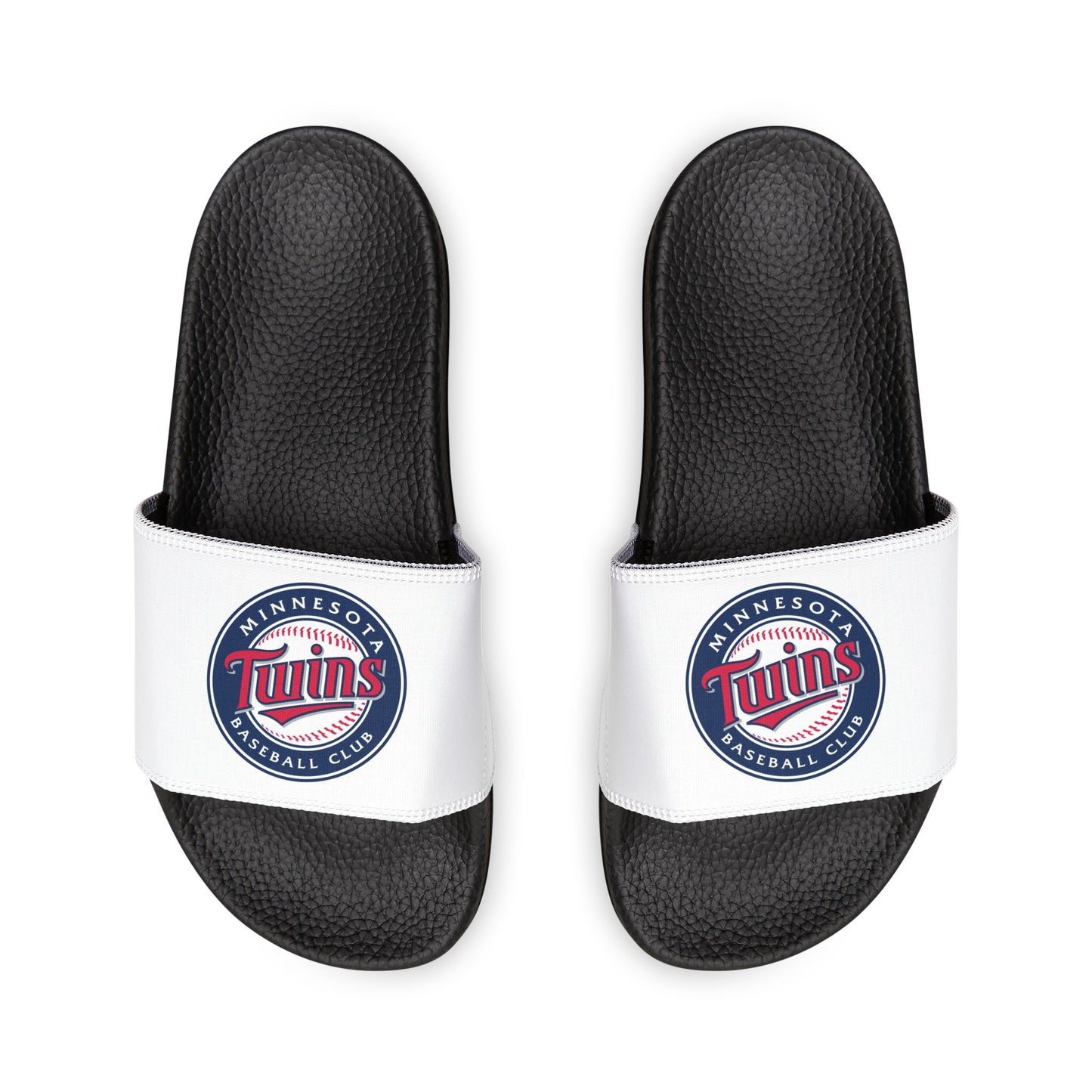 Minnesota Twins Slides