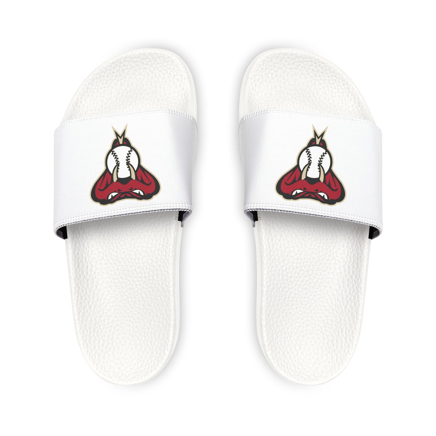 Arizona Diamond Backs Snake Slides