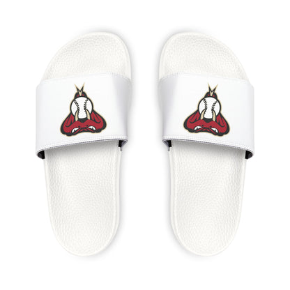 Arizona Diamond Backs Snake Slides