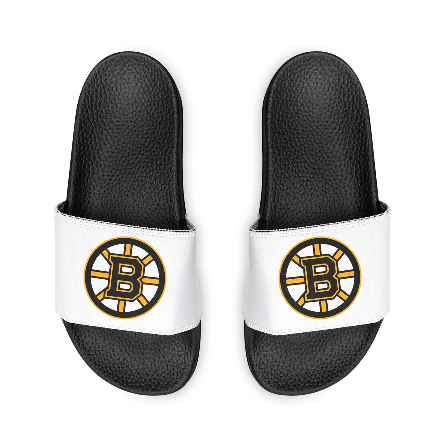 Boston Bruins Slides