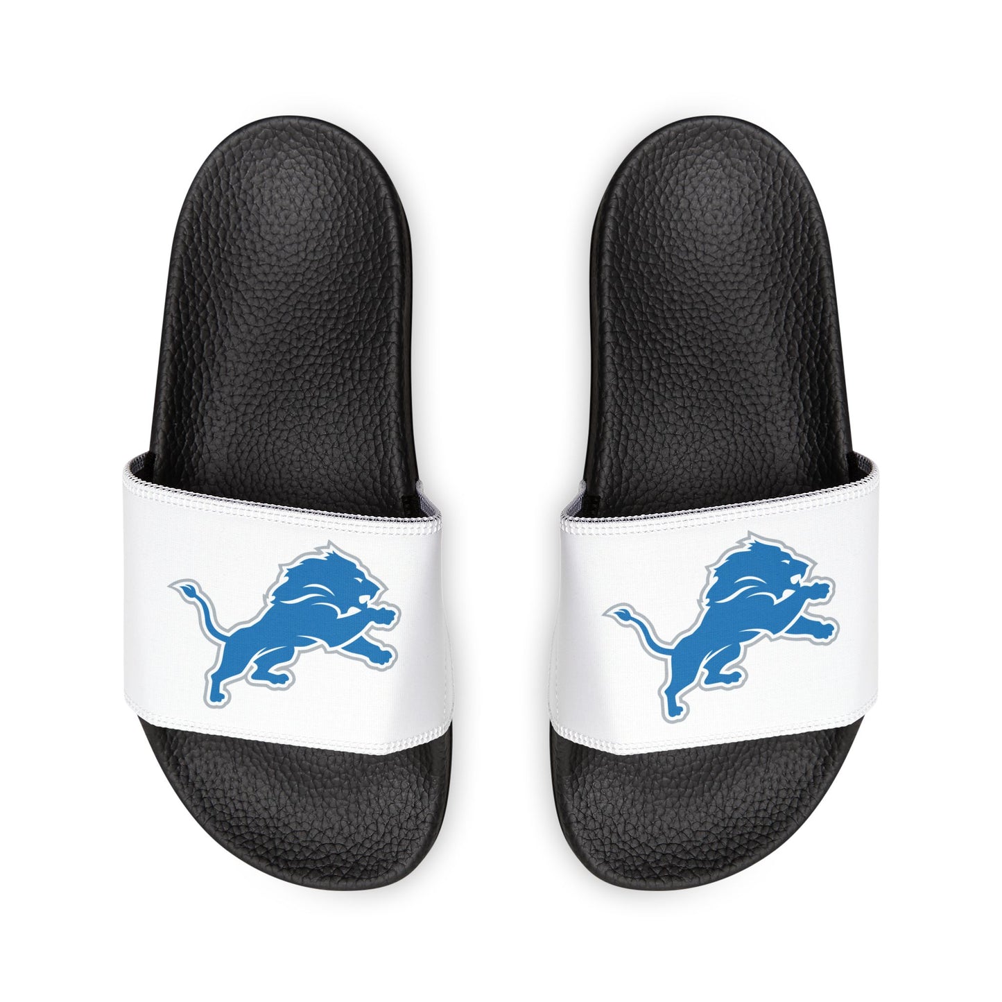 Detroit Lions Slides