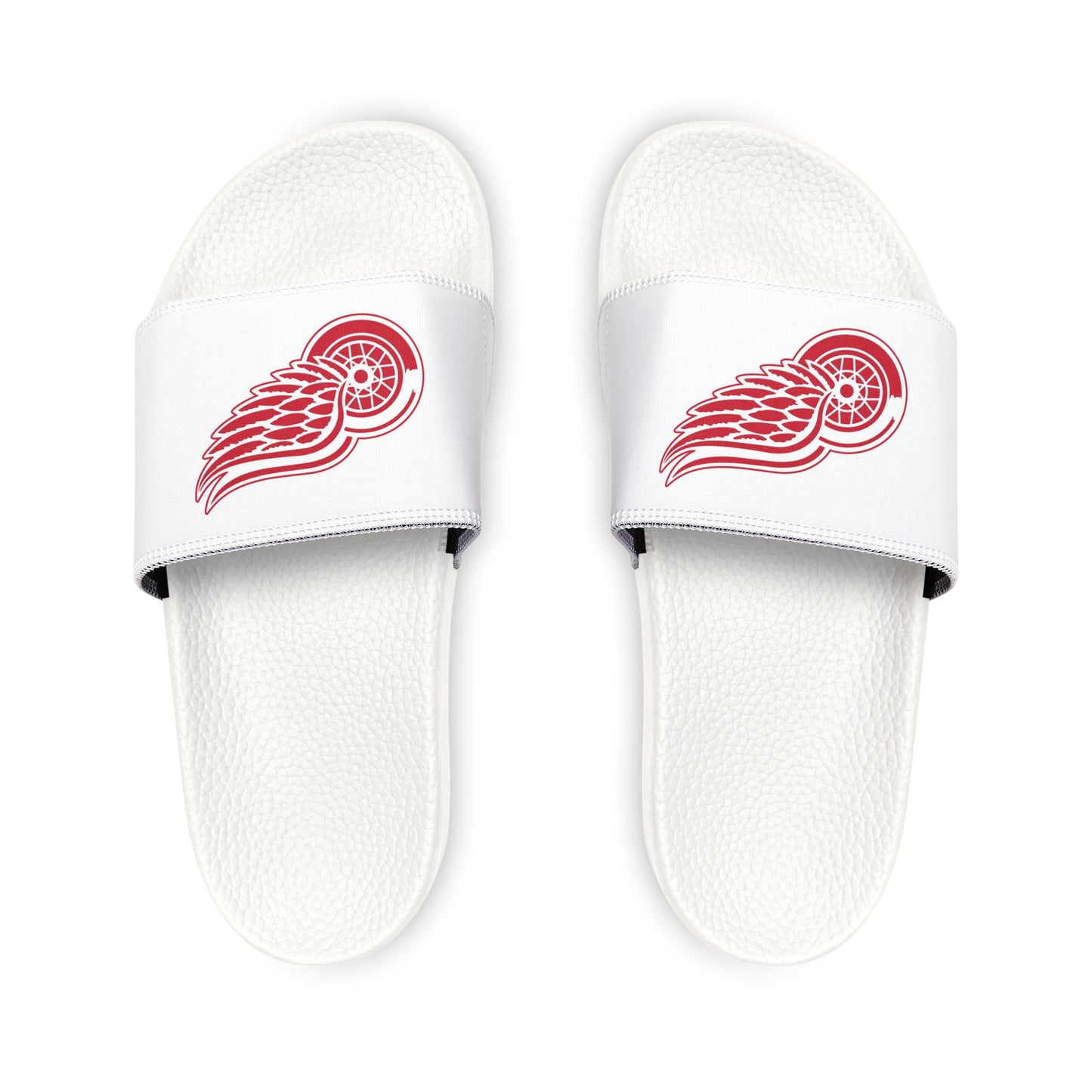 Detroit Red Wings Slides