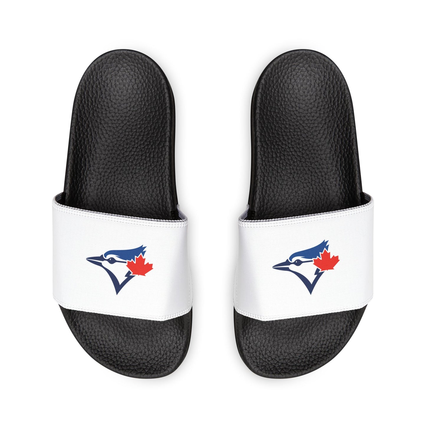 Toronto Blue Jays Bird Slides