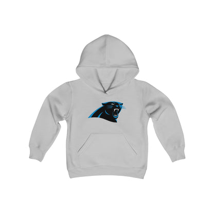 Carolina Panthers Youth Hoodie