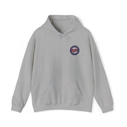 Minnesota Twins Embroidered Hoodie