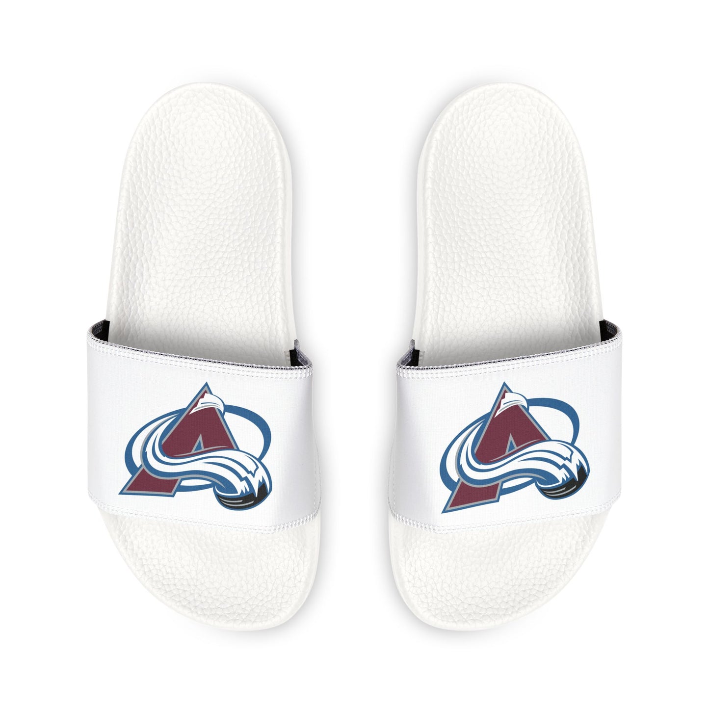 Colorado Avalanche Slides