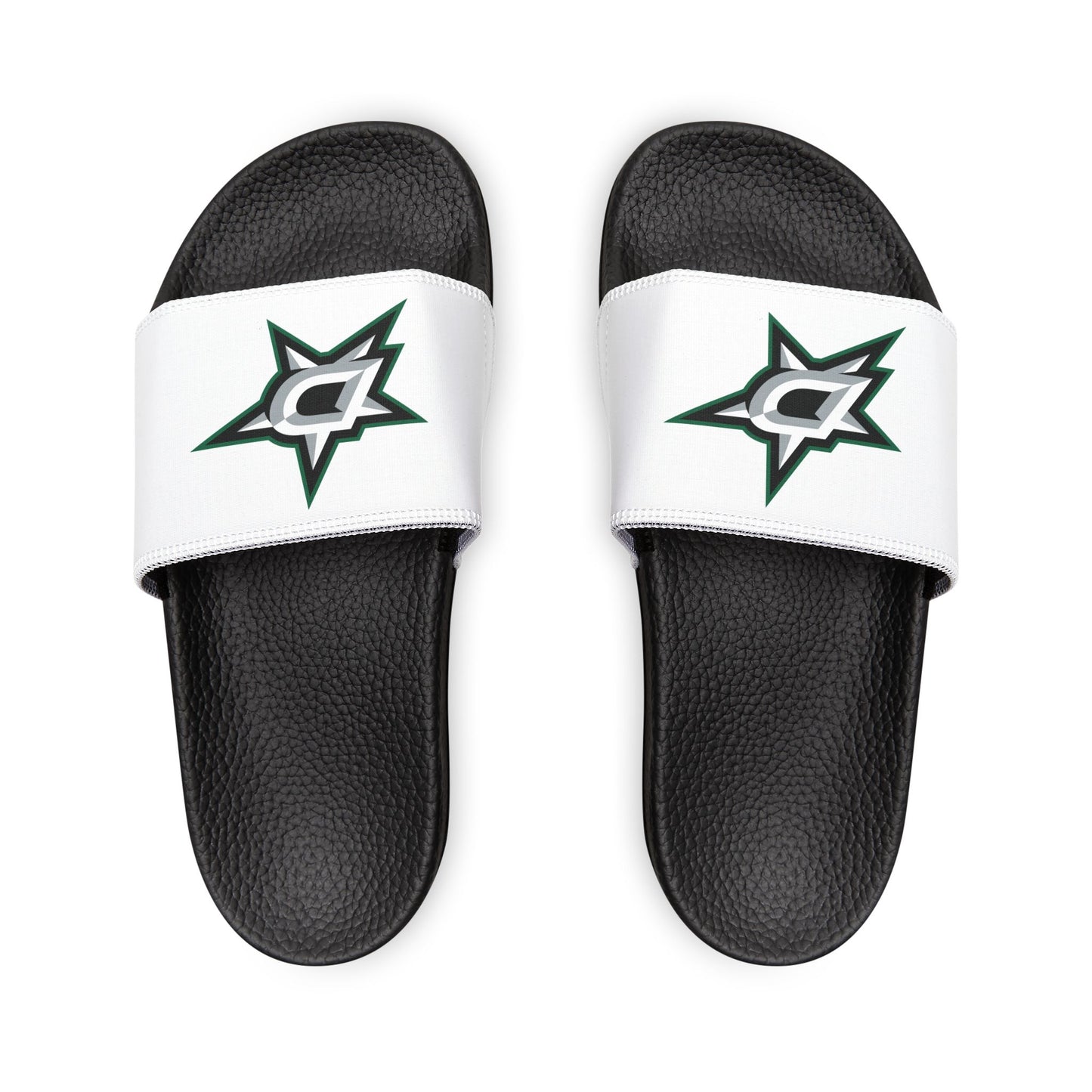 Dallas Stars Slides