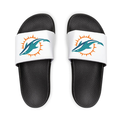 Miami Dolphins Slides