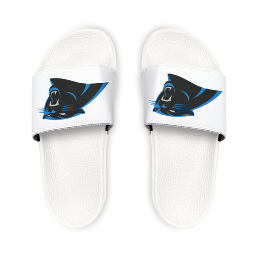 Carolina Panthers Slides