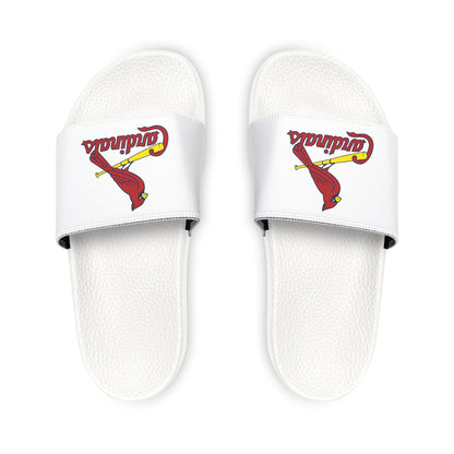 St. Louis Cardinals Slides