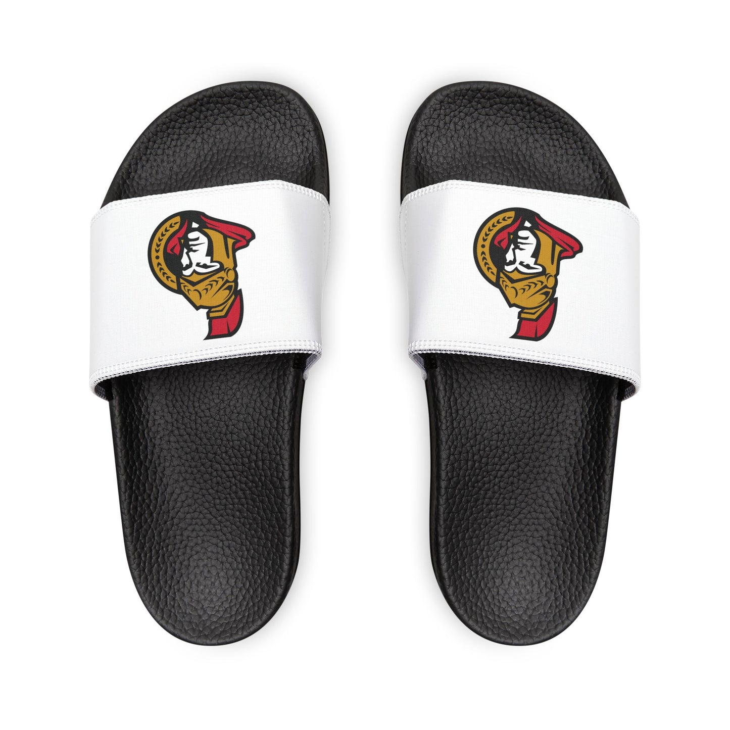 Ottawa Senators Slides