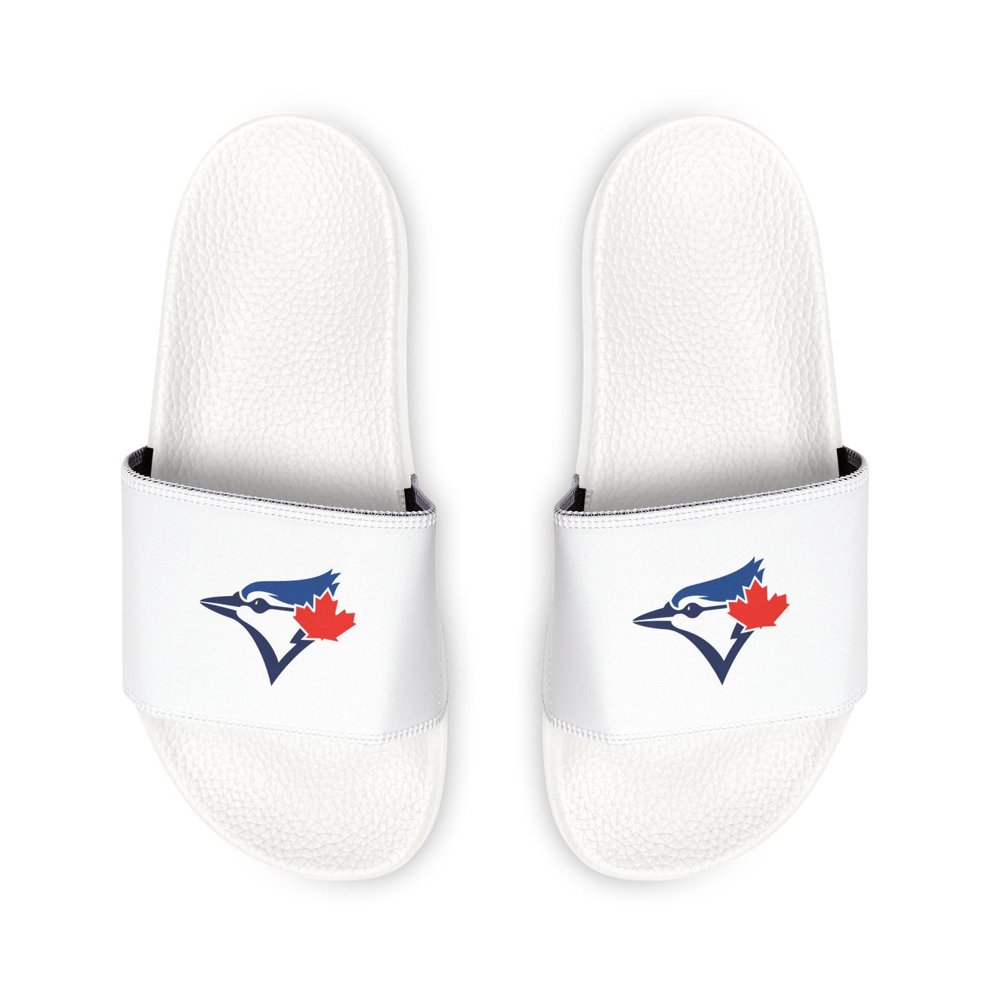 Toronto Blue Jays Bird Slides