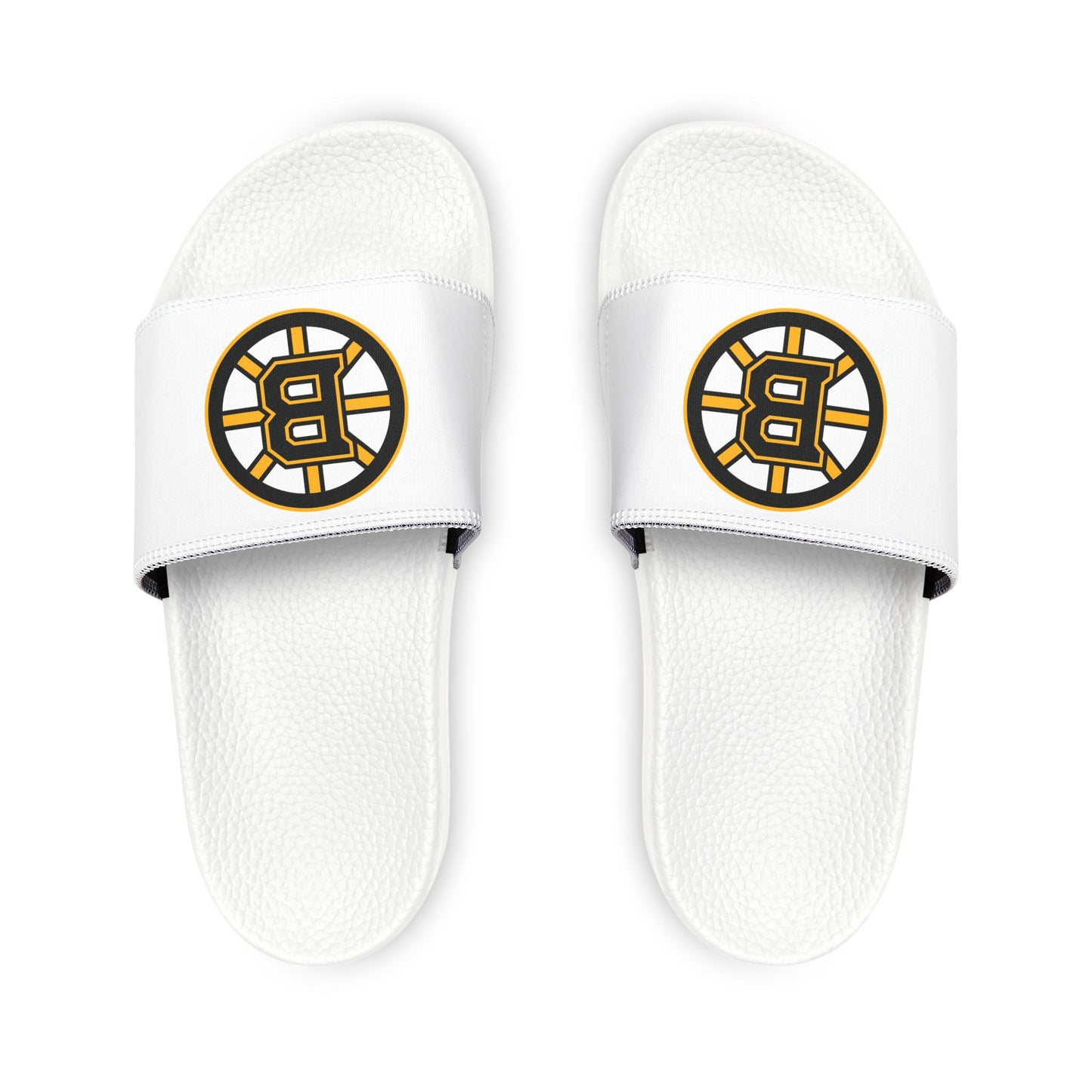 Boston Bruins Slides