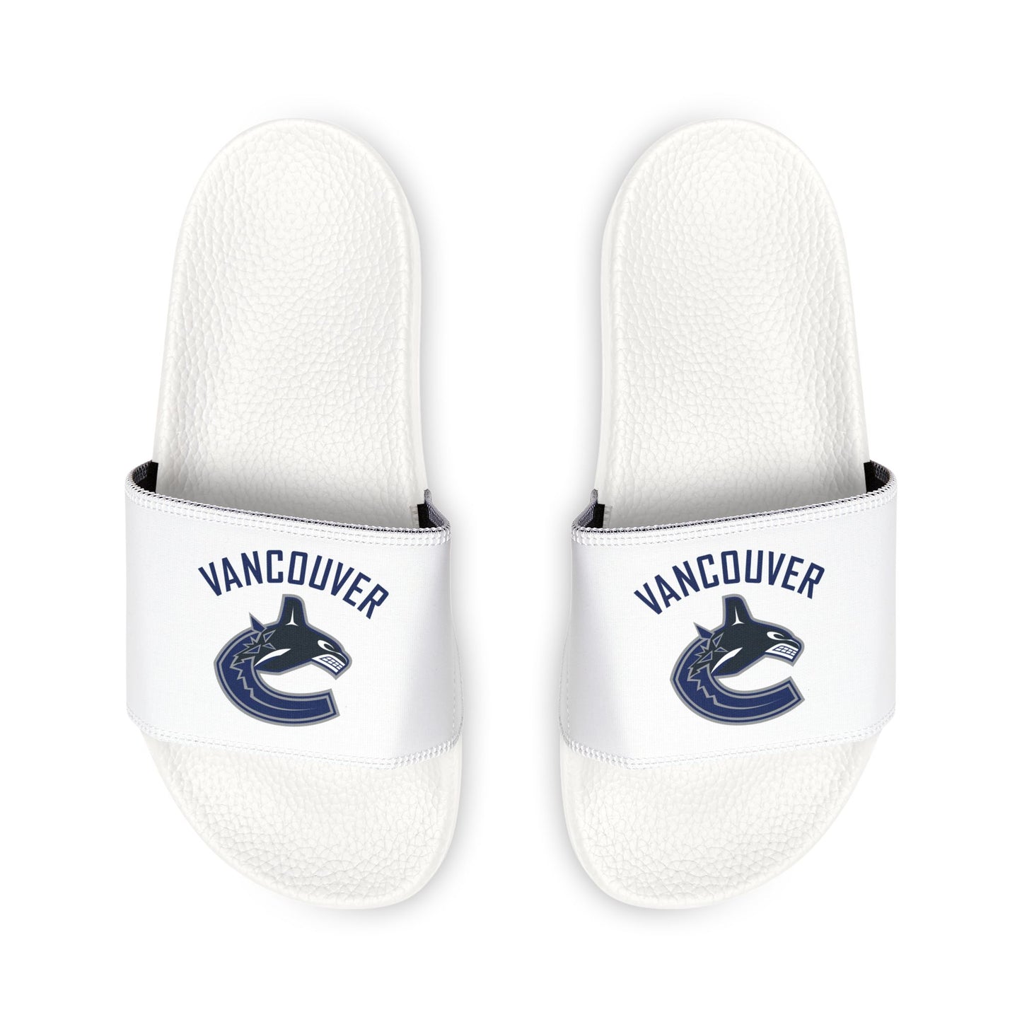 Vancouver Canucks Slides