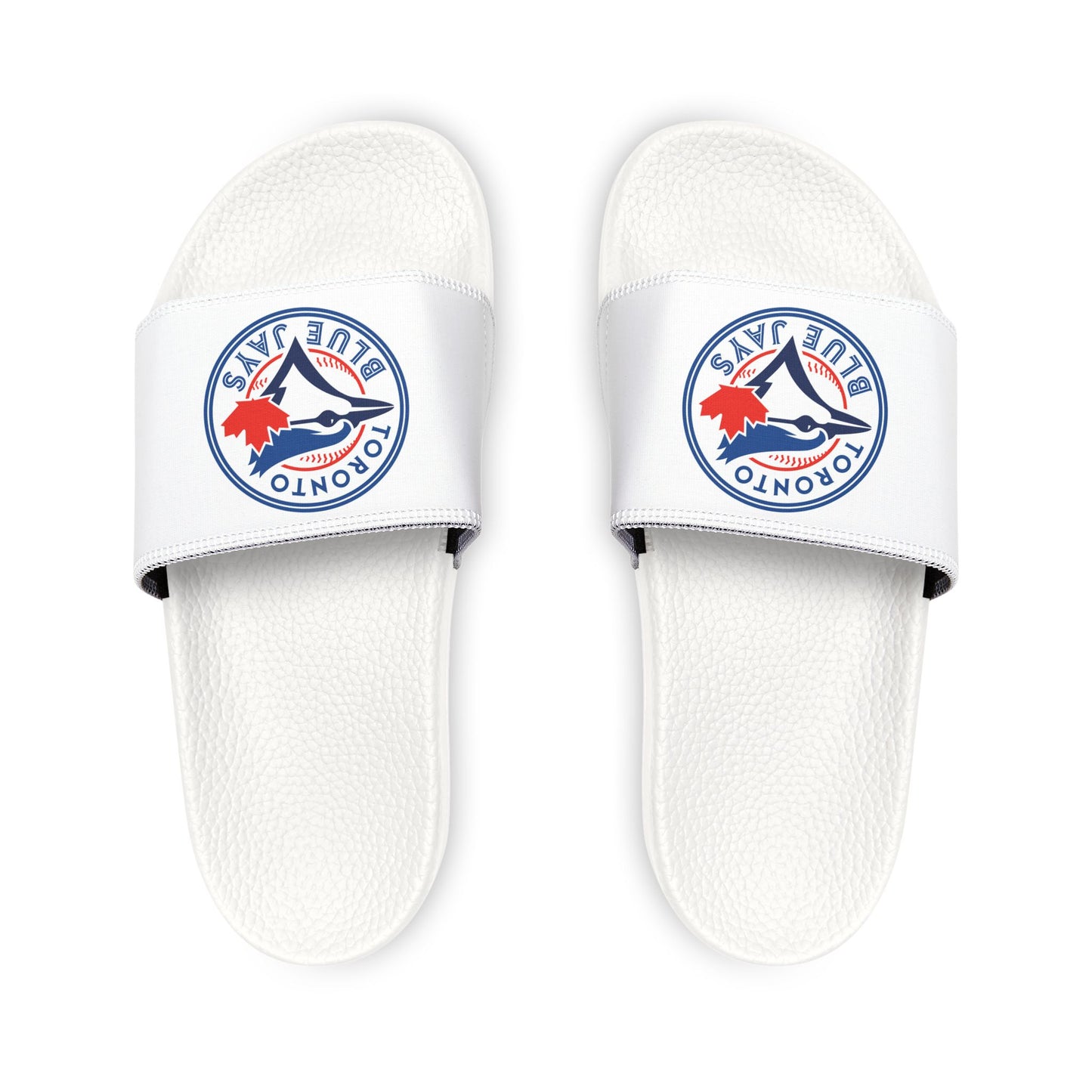 Toronto Blue Jays Slides