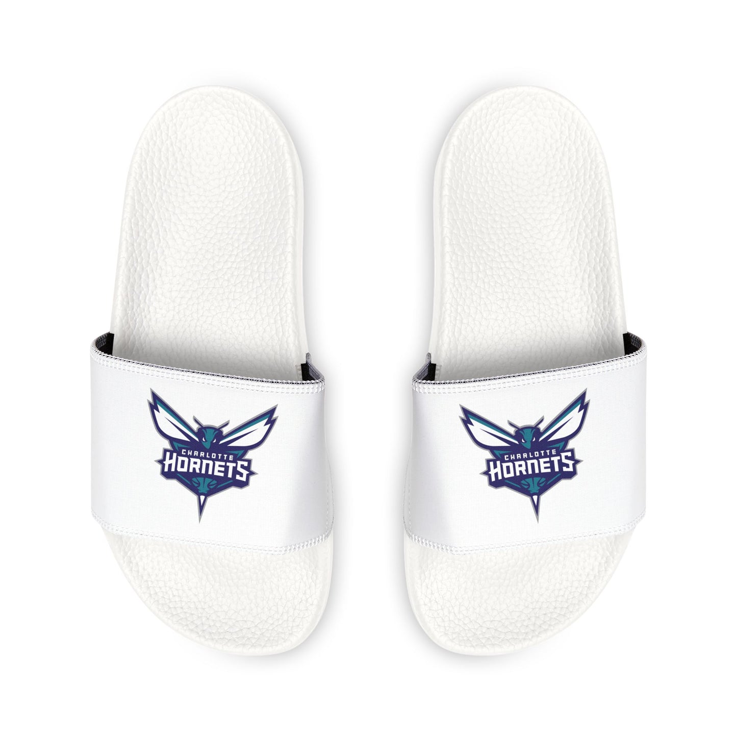 Charlotte Hornets Slides