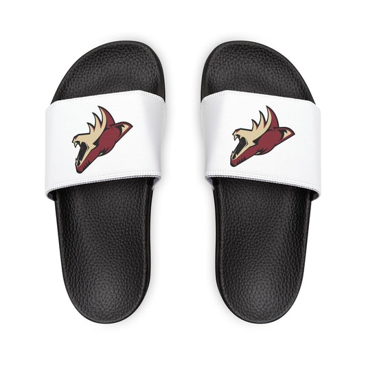 Arizona Coyotes Slides