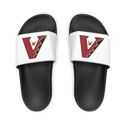 Arizona Diamond Backs Slides