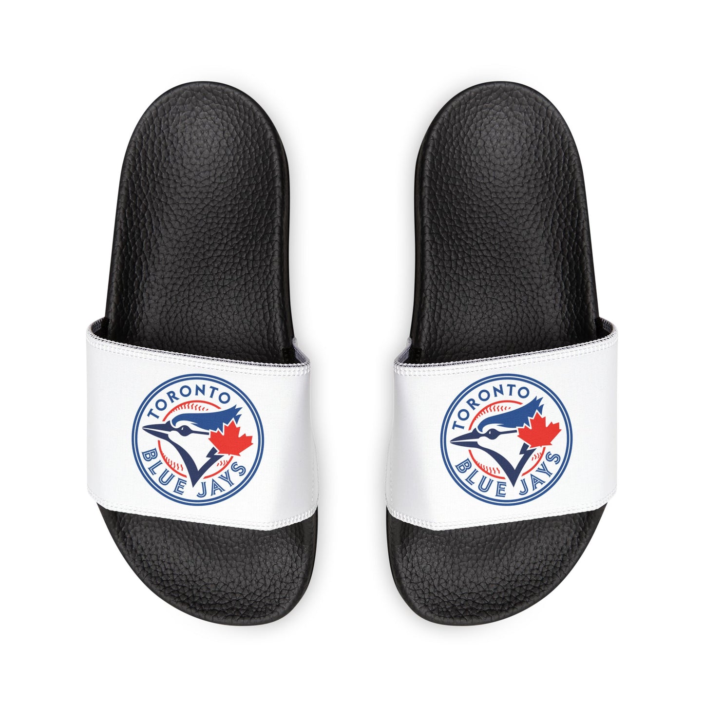 Toronto Blue Jays Slides