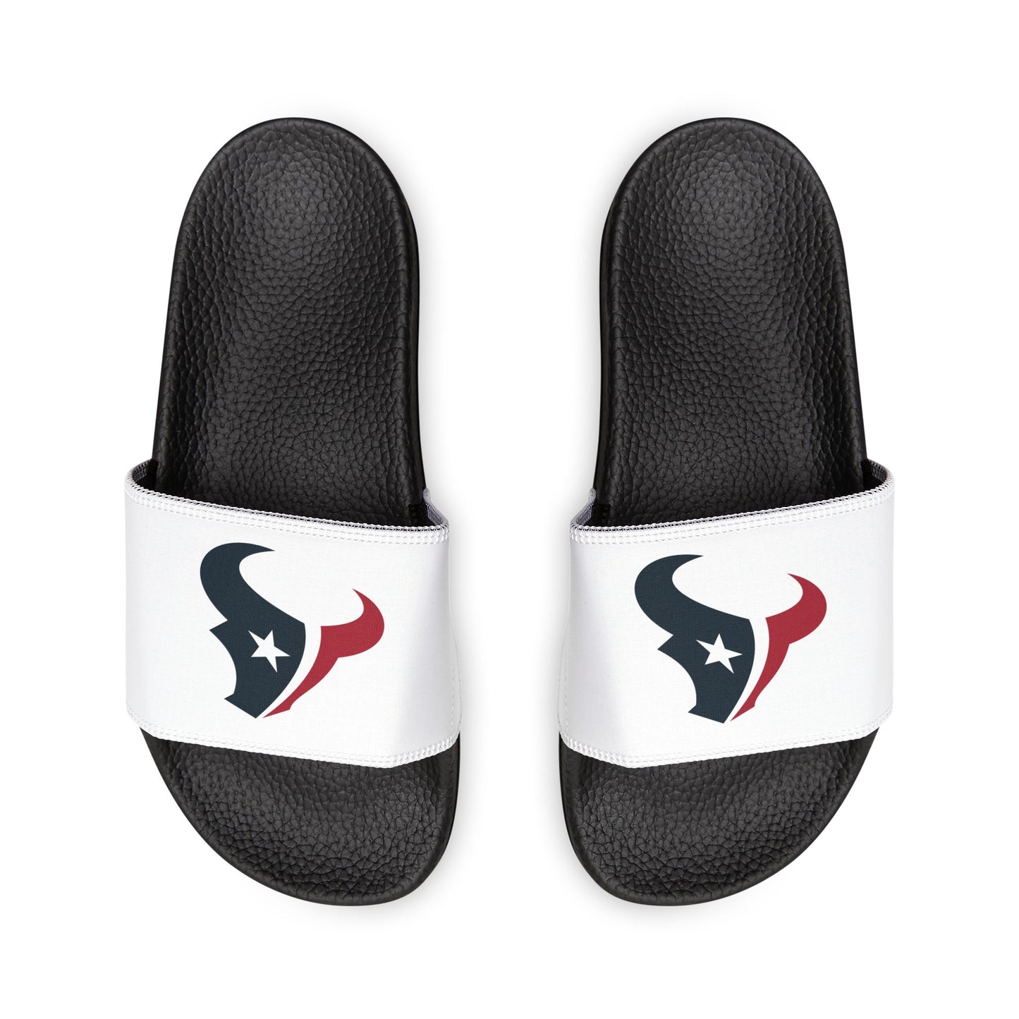 Houston Texans Slides