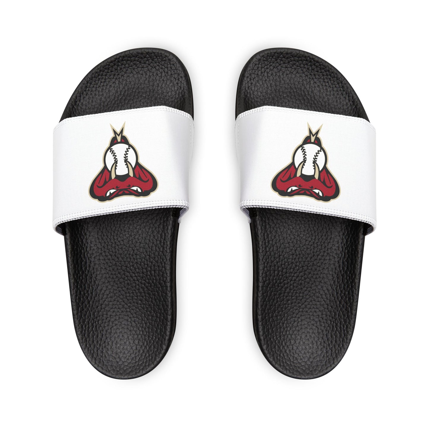 Arizona Diamond Backs Snake Slides