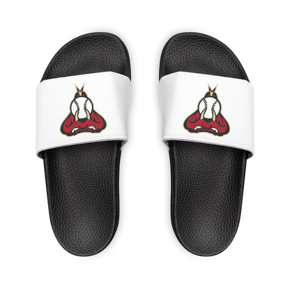 Arizona Diamond Backs Snake Slides