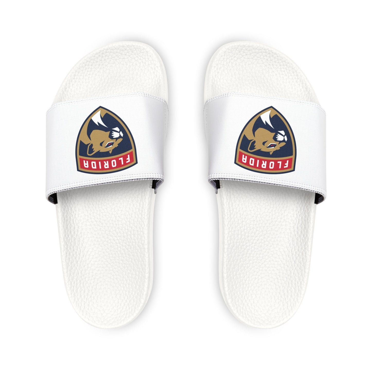 Florida Panthers Slides