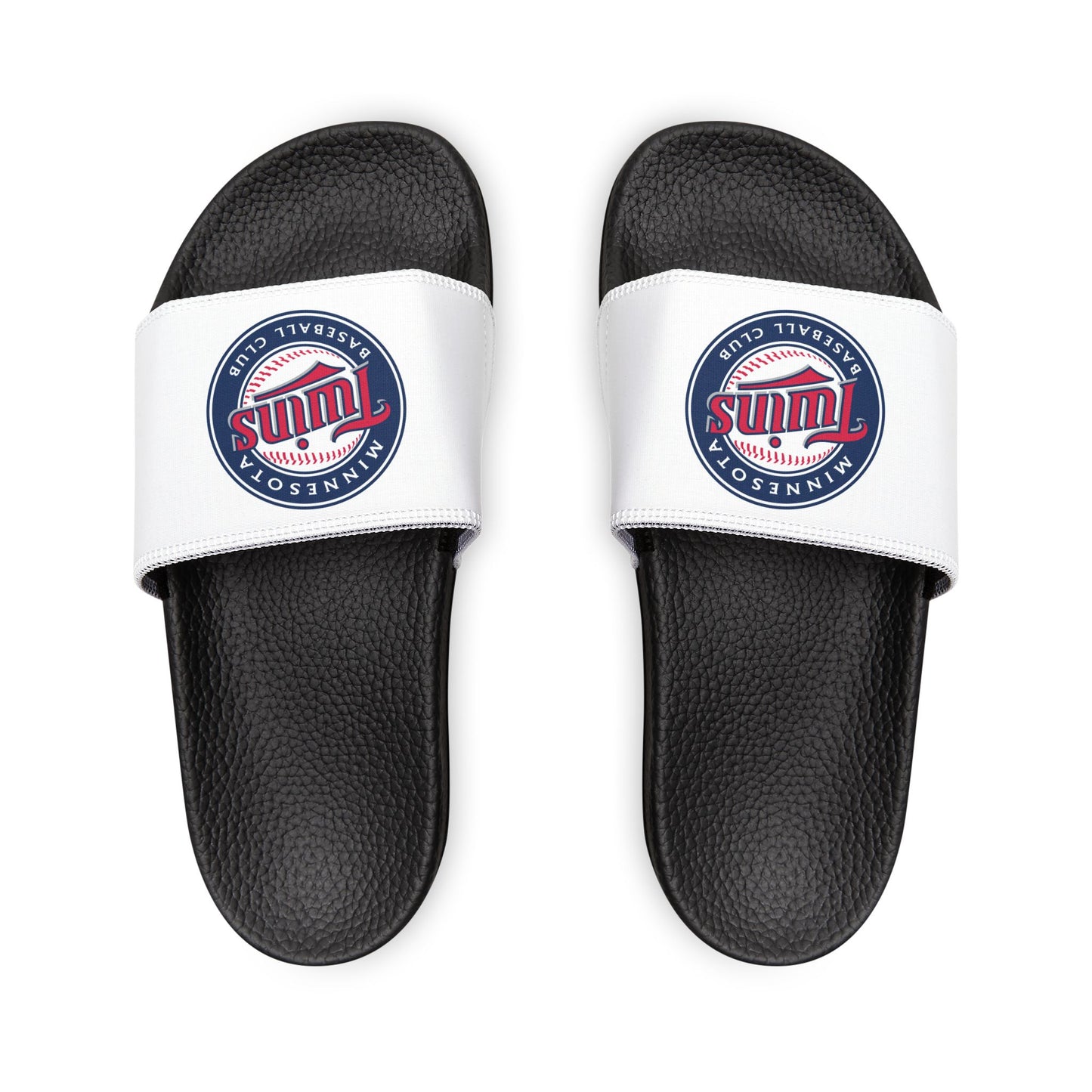 Minnesota Twins Slides