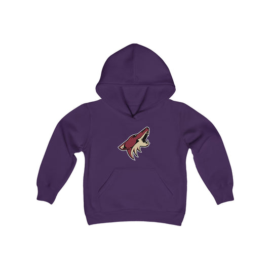 Arizona Coyotes Youth Hoodie