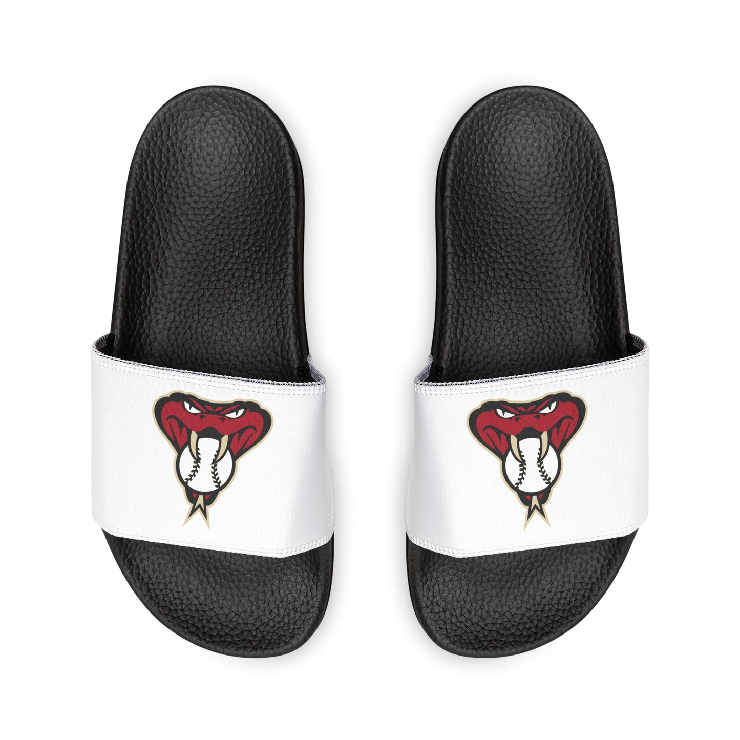 Arizona Diamond Backs Snake Slides