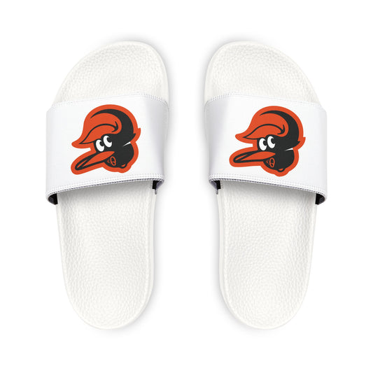 Baltimore Orioles Bird Slides